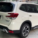 FORESTER Advance 4