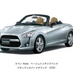 copen-241210001