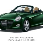 copen-241210004