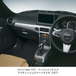 copen-241210006