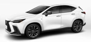 nx-white-nova-glass-flake