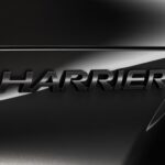 harrier-07