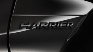 harrier-07