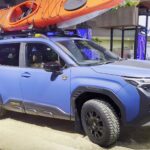 forester-wilderness-001