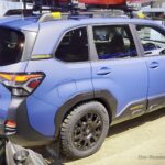 forester-wilderness-003