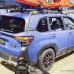 forester-wilderness-004