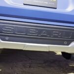 forester-wilderness-007