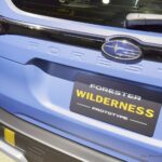 forester-wilderness-009