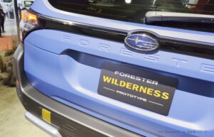 forester-wilderness-009