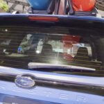 forester-wilderness-010