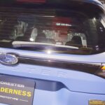 forester-wilderness-011