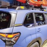 forester-wilderness-012