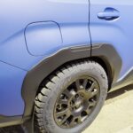 forester-wilderness-013