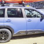 forester-wilderness-014