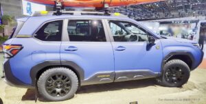 forester-wilderness-014