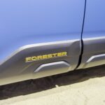 forester-wilderness-015