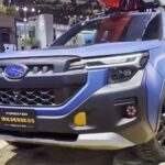 forester-wilderness-017