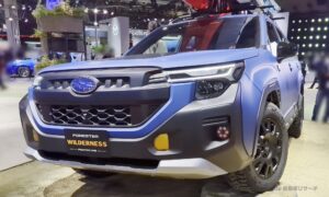 forester-wilderness-017