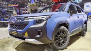 forester-wilderness-018