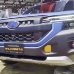 forester-wilderness-019