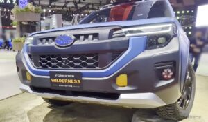 forester-wilderness-019