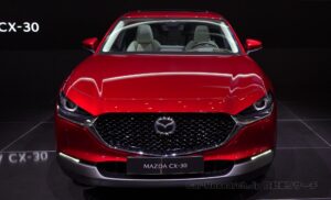 cx-30-019